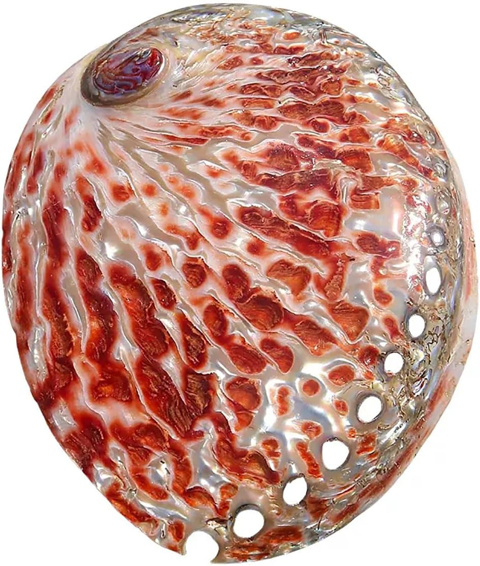 激レア！希少！平成♡マイメロディ♡まんまるクッション - メルカリ 激